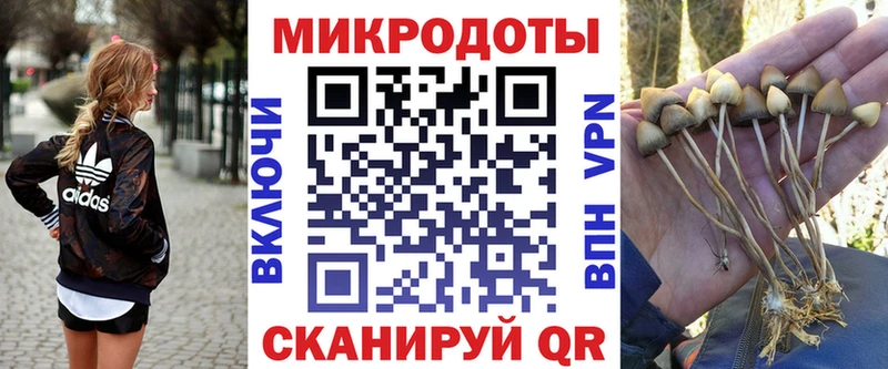 Псилоцибиновые грибы MAGIC MUSHROOMS Павловская